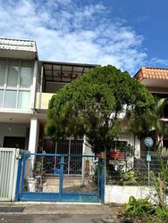 Mount Sinai (D10), Terrace #456399061